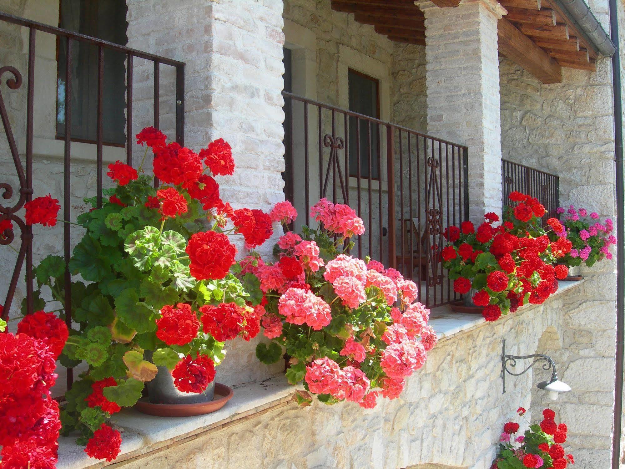 הוילה אבטג'ו Agriturismo Borgo San Martino מראה חיצוני תמונה